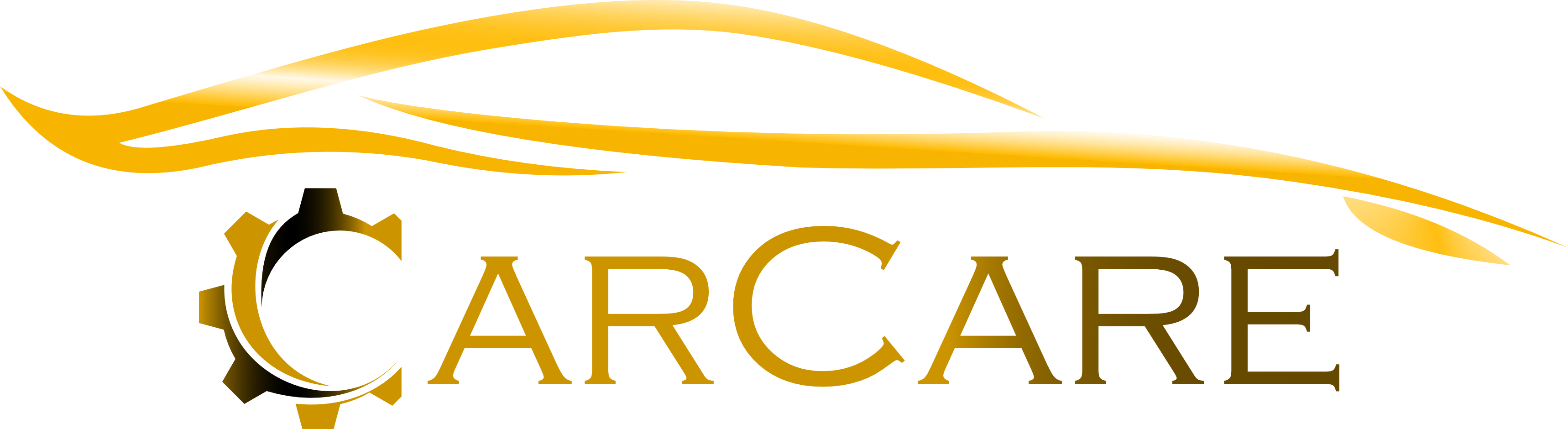 Car Care TZ